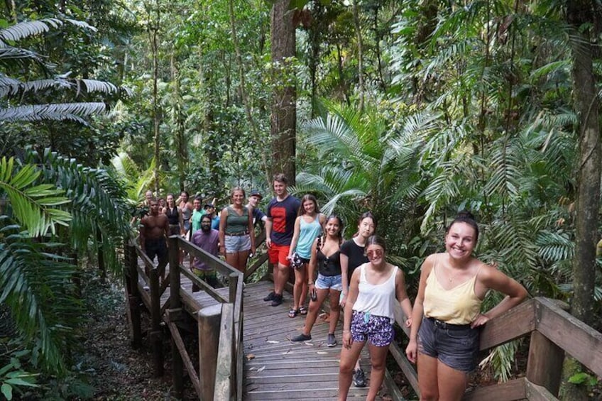 Informative rainforest walks