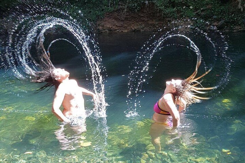 Crystal Clear Rainforest swims