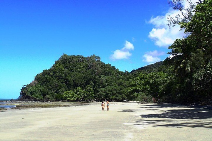 Cape Tribulation.. where tropical rainforest meet secluded and beautiful beaches. 