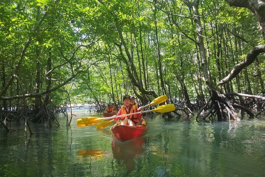 Mangrove Forest Kayaking Tour from Langkawi