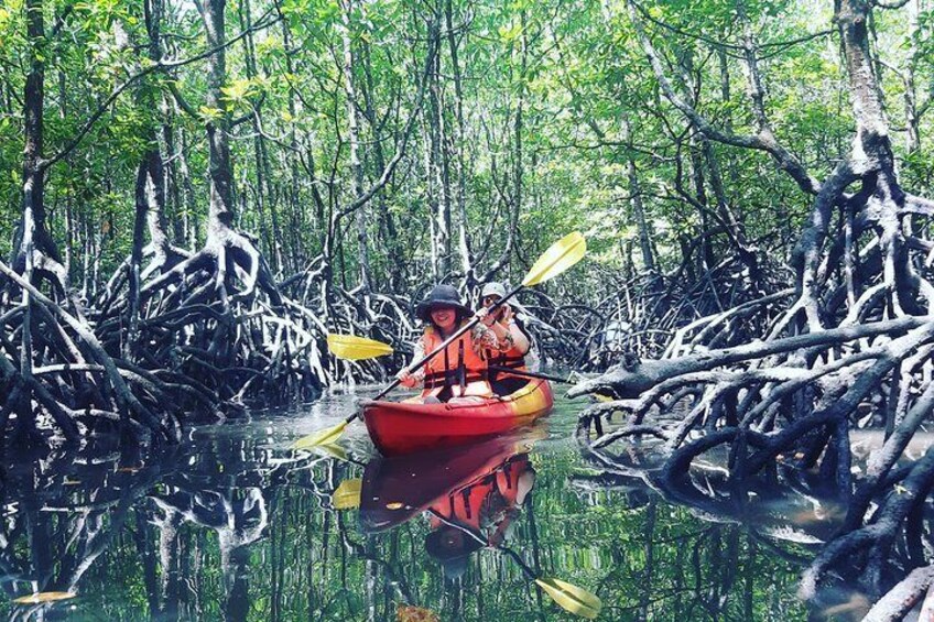 Kayaking during low tide