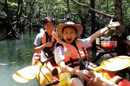 Full Day Kilim Mangrove Forest Kayaking Tour from Langkawi