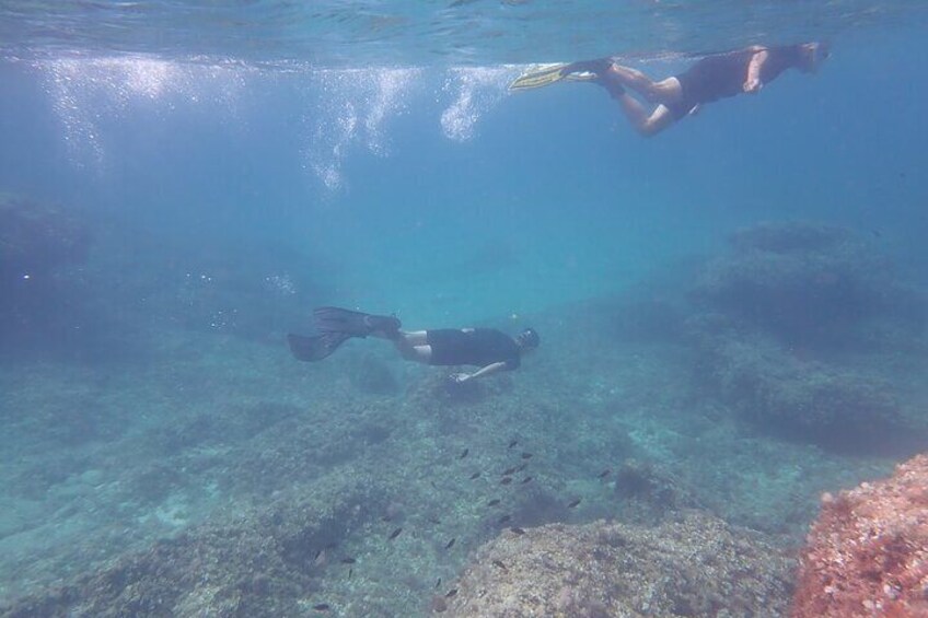 Mallorca: Snorkeling in a Beautiful Nature Reserve