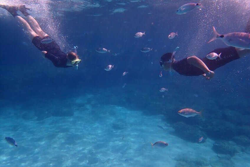 Mallorca: Snorkeling in a Beautiful Nature Reserve