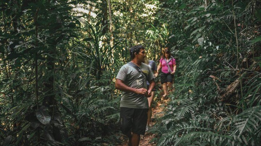 Walkabout Cultural Adventures - Ngana Julaymba Dungay Full Day