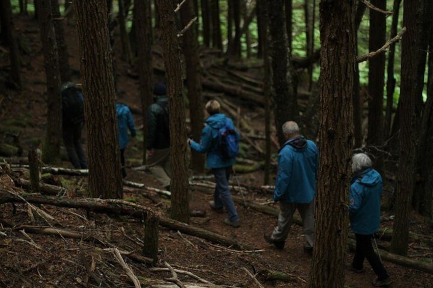 Hiking through Chilkat State Park