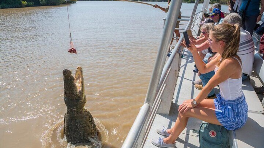 1 Hour Jumping Crocodile Cruise on the Adelaide River