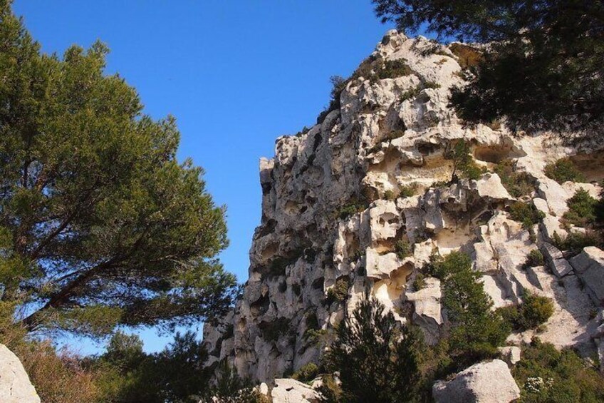 History and Van Gogh in Provence from AIX-EN-PROVENCE