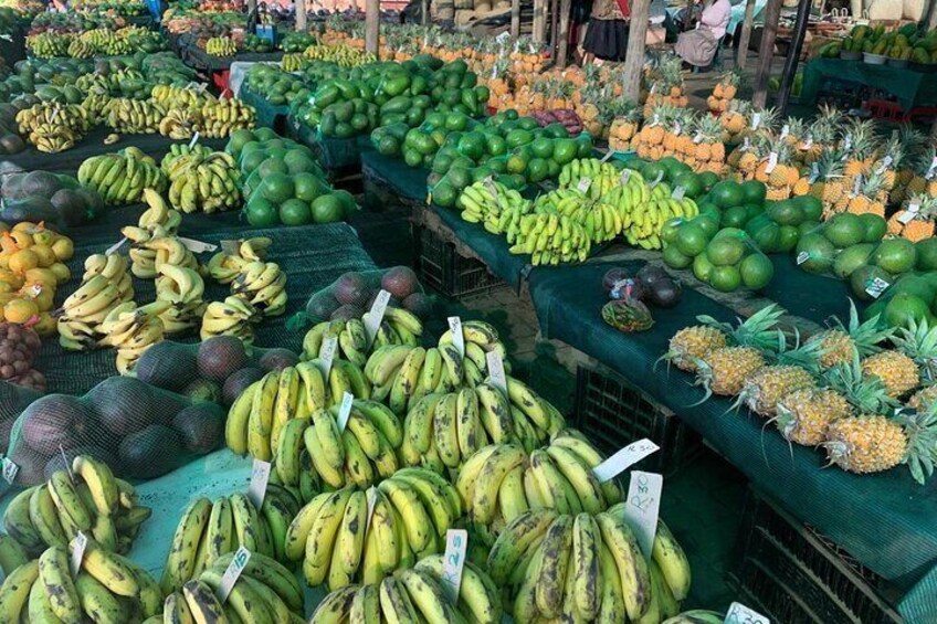 Durban City Sightseeing and Walking Tour 
