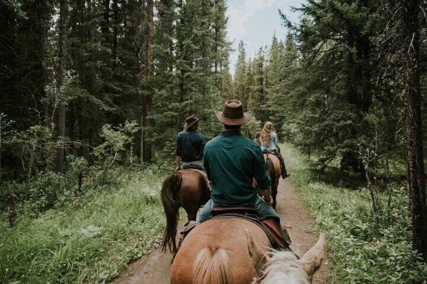 2-Hour Horseback Trail Ride in Kananaskis