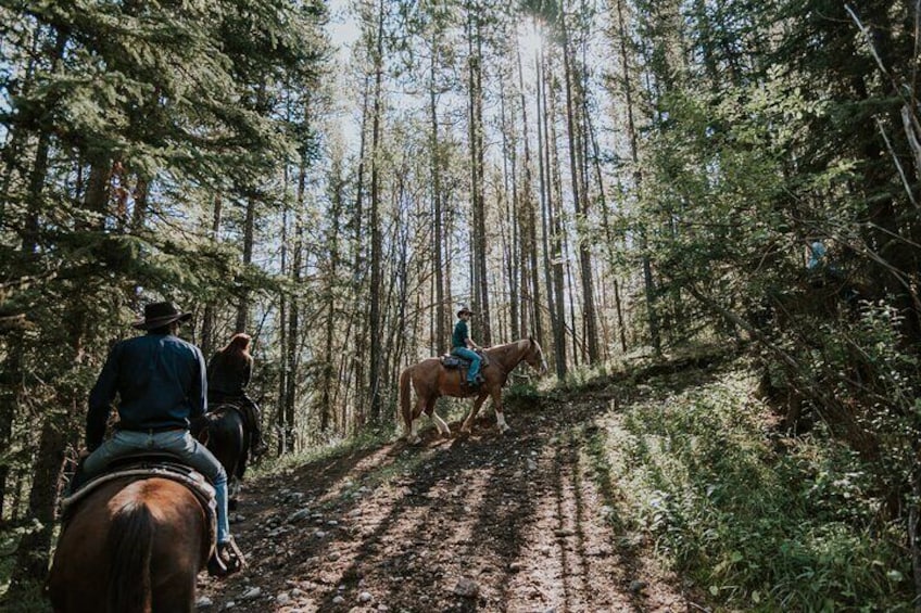 2-Hour Horseback Trail Ride in Kananaskis