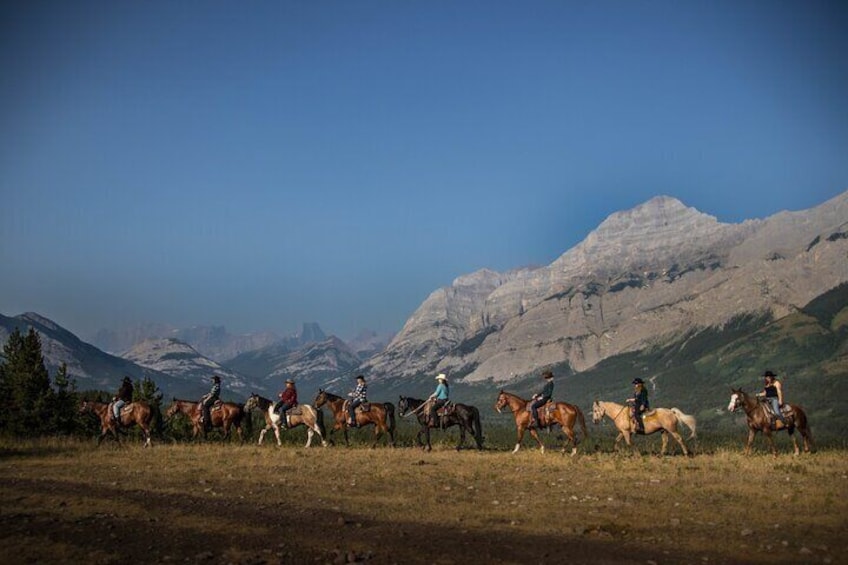 2-Hour Horseback Trail Ride in Kananaskis