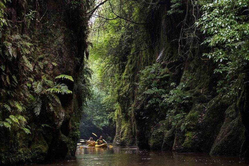 Twilight Kayak Glow worm Tour