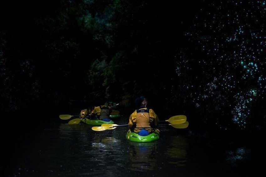 Twilight Kayak Glow worm Tour