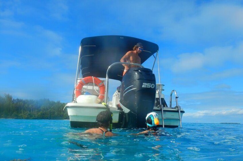 Boat tour 1/2 day Excursion in the lagoon of Moorea