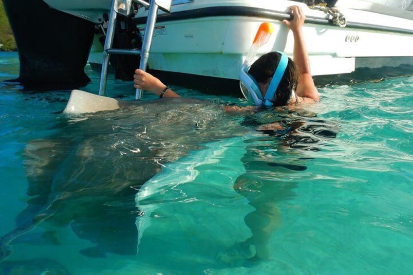 Boat tour 1/2 day Excursion in the lagoon of Moorea