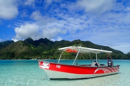 Boat tour 1/2 day Excursion in the lagoon of Moorea