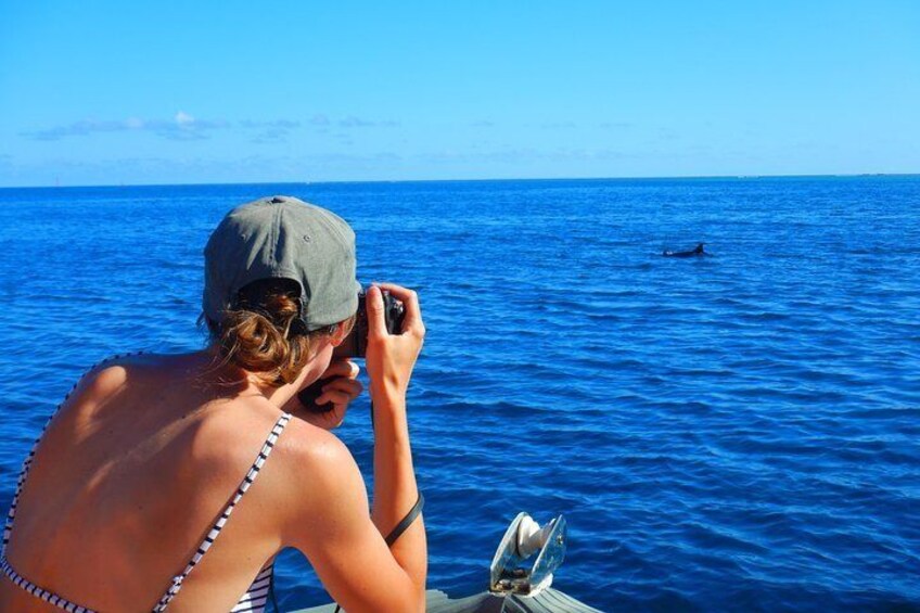 Boat tour 1/2 day Excursion in the lagoon of Moorea