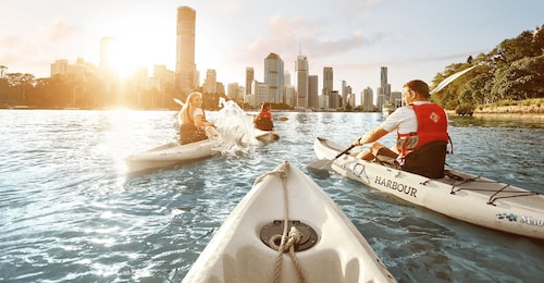 Brisbane : Visite guidée en kayak de la rivière