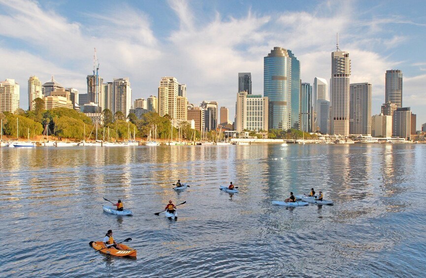 Picture 2 for Activity Brisbane: Guided River Kayak Tour