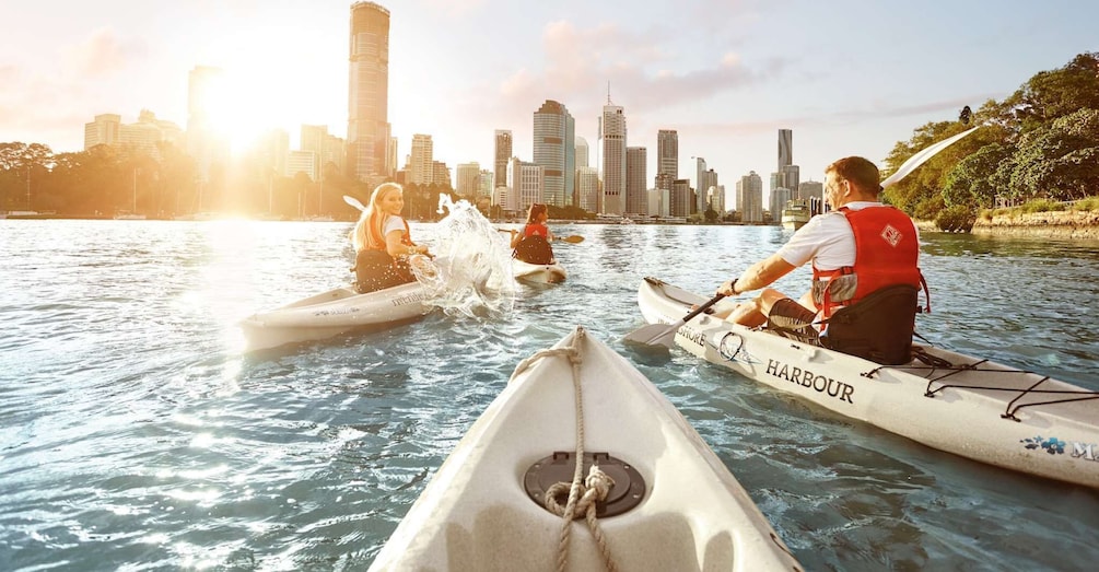 Brisbane: Guided River Kayak Tour