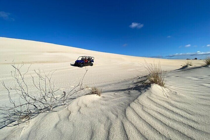 Ride through the desert-scape of Little Sahara's dunes