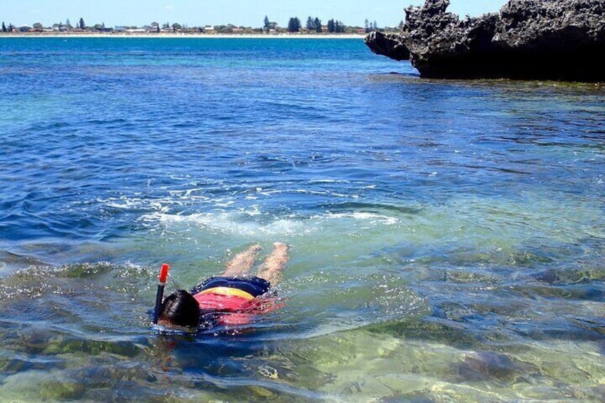 Penguin and Seal Islands Sea Kayaking Experience