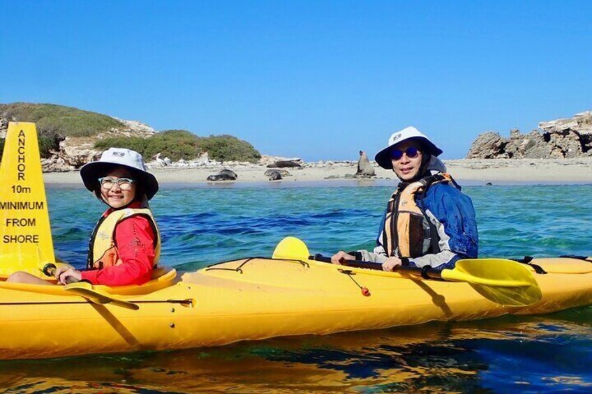 Penguin and Seal Islands Sea Kayaking Experience