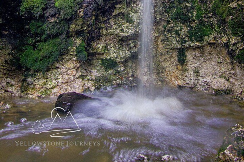 Private Yellowstone Journey from Gardiner, MT