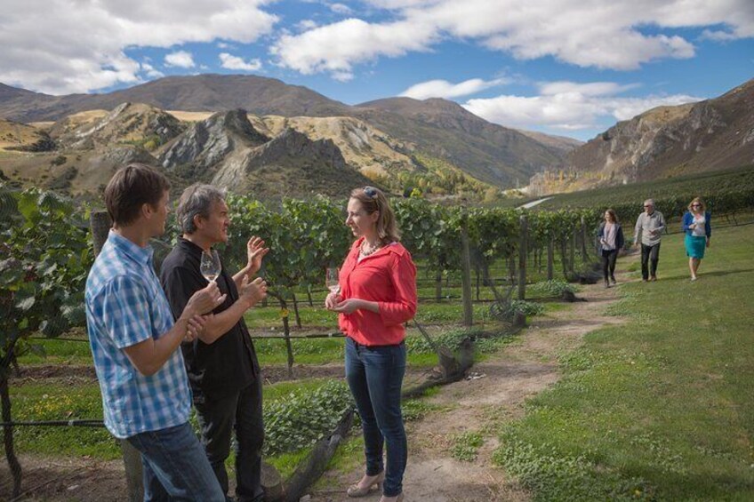 Wine tasting in the vineyard