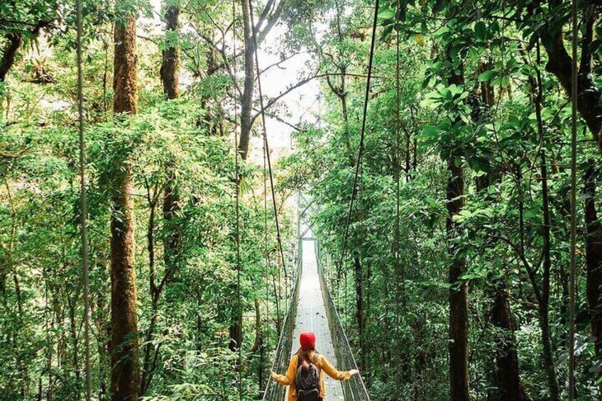 9-Day Best of Northwest Costa Rica from San Jose: Arenal Volcano National Park, Monteverde Cloud Forest and Guanacaste