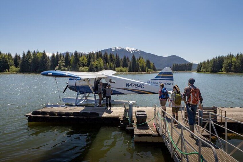 Exclusive Pack Creek Bear Viewing from Juneau