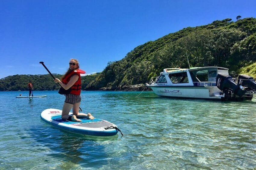 Small Group Cruise & Island Tour - Scenic Cruise, Hike, Snorkel, Wildlife