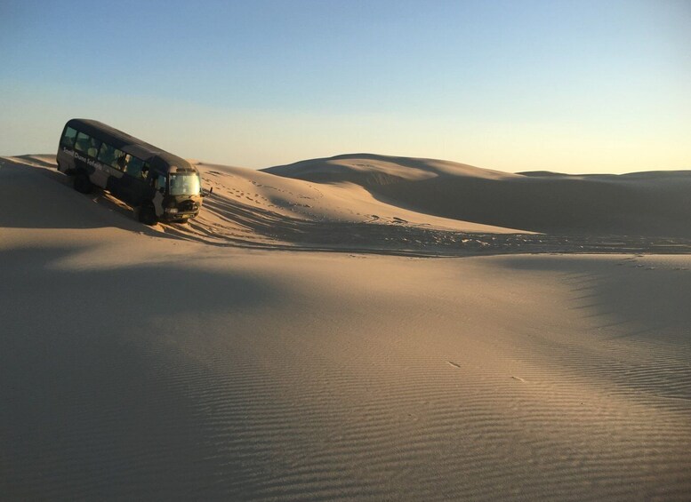 Picture 5 for Activity Port Stephens: Sandboarding & Sandsurfing with 4WD Transfer