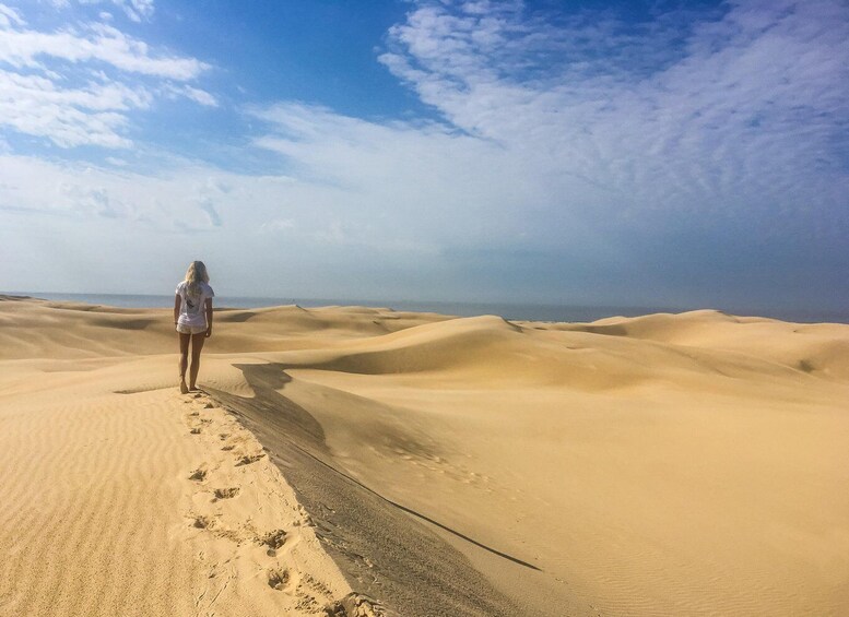 Picture 17 for Activity Port Stephens: Sandboarding & Sandsurfing with 4WD Transfer