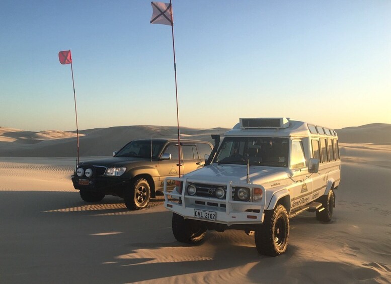 Picture 6 for Activity Port Stephens: Sandboarding & Sandsurfing with 4WD Transfer