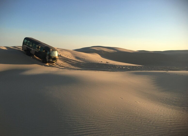 Picture 5 for Activity Port Stephens: Sandboarding & Sandsurfing with 4WD Transfer