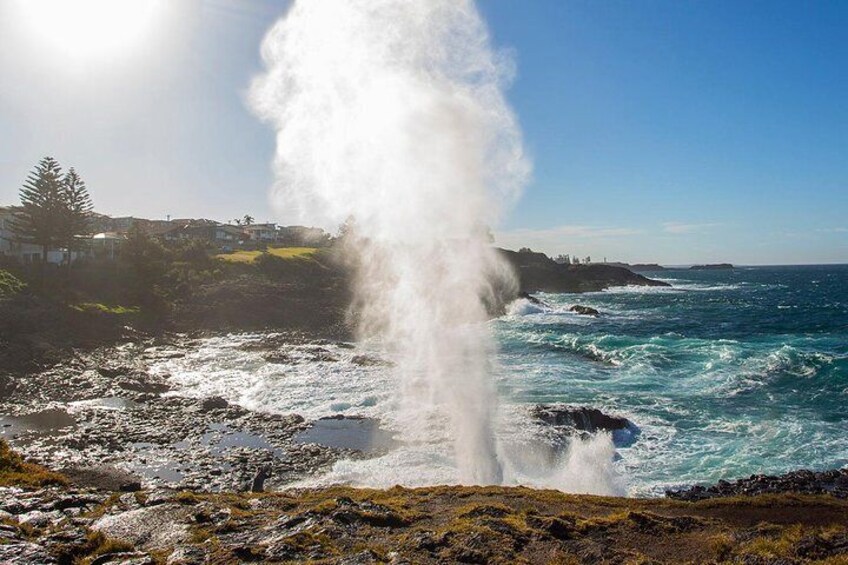 Blowholes