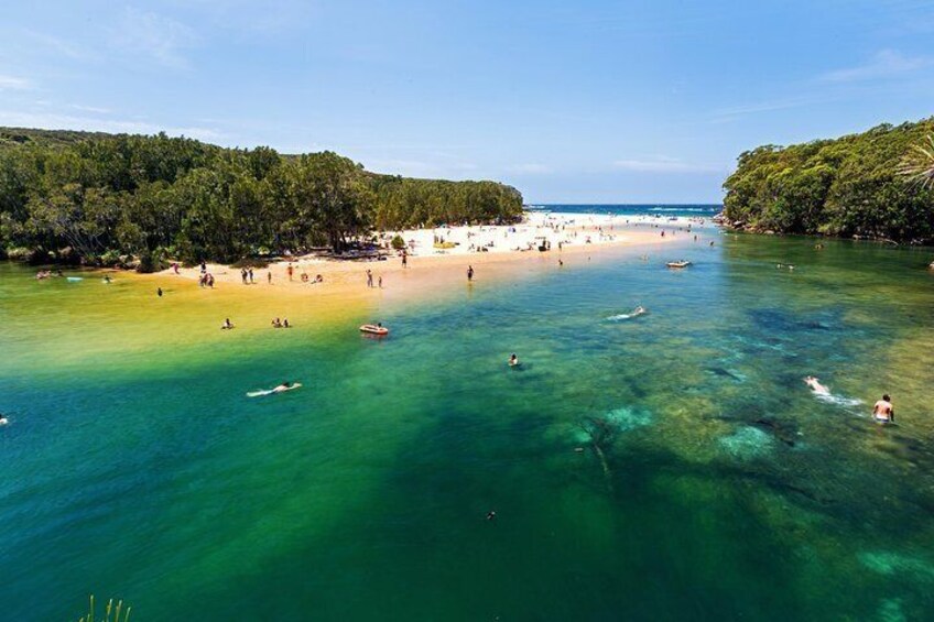 Royal National Park and Wattamolla beach