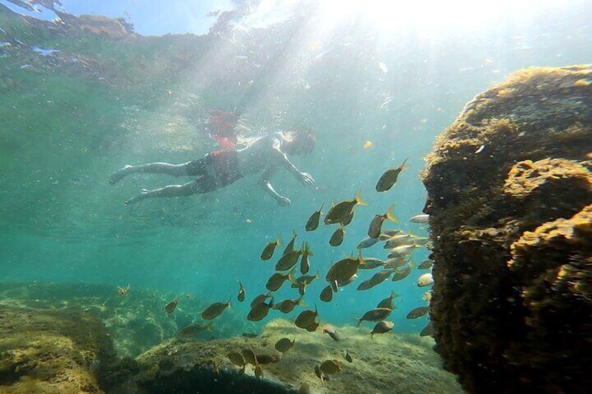 Kayaking Adventure Route with Snorkeling in Mogan Caves