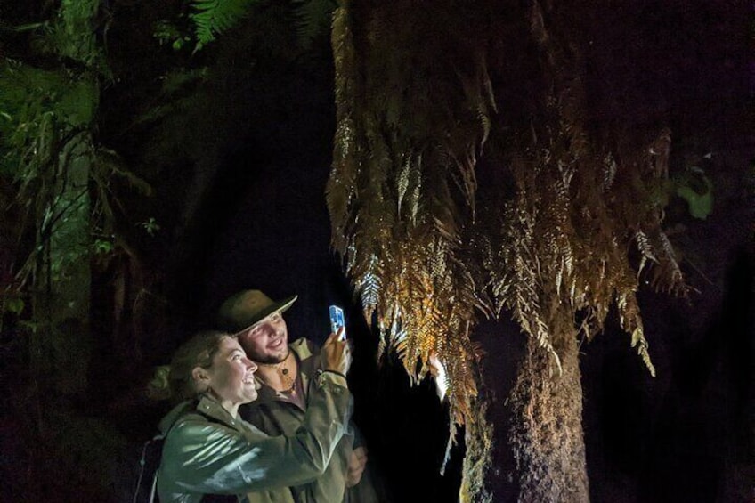 Nocturnal adventure Glow-worm tour
