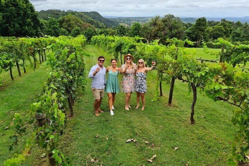 Hinterland Cheese & Wine Tasting Tour - with 2 course lunch included