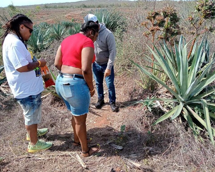Picture 6 for Activity From Mazatlan: ATV & Horse Back riding with Tequila Tasting