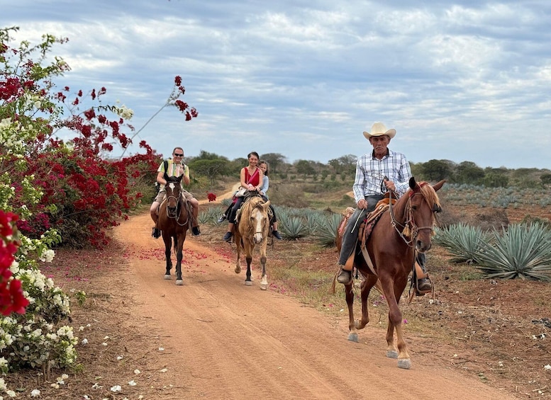 Picture 3 for Activity From Mazatlan: ATV & Horse Back riding with Tequila Tasting