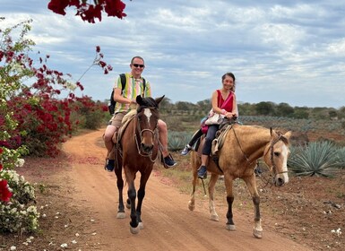 From Mazatlan: ATV & Horse Back riding with Tequila Tasting