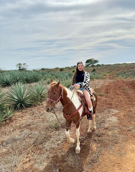 Picture 2 for Activity From Mazatlan: ATV & Horse Back riding with Tequila Tasting