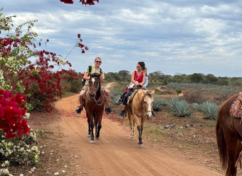 Picture 1 for Activity From Mazatlan: ATV & Horse Back riding with Tequila Tasting