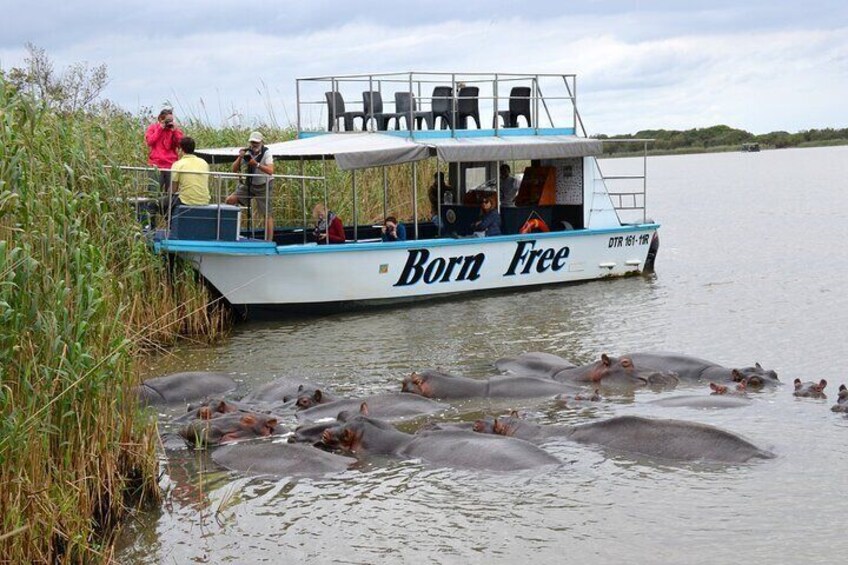 Hluhluwe Imfolozi Safari & St Lucia Boat Safari Day Tour from Durban