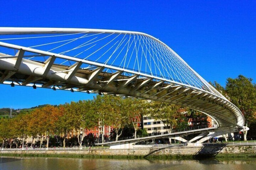 Full-day private Bilbao tour (Guggenheim museum & full pintxo lunch included)