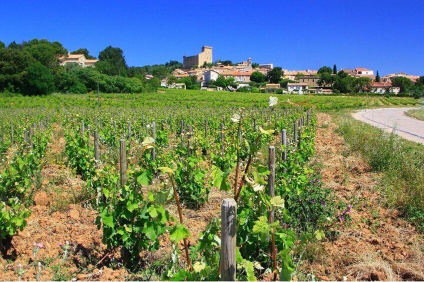 Half Day Great Vineyard Tour from Avignon